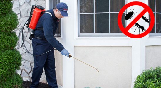 Yavuzeli Kemirgen İlaçlama böcek ilaçlama ve haşere kontrolü — ilaclama-tr.com